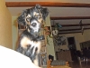 pict0558
