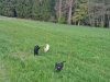 soo_viel_platz