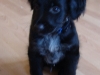 arko_1