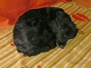 feb09_mai09