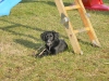 feb09_mai09_3