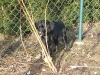 feb09_mai09_4