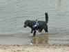 juni09_sept09