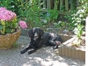 juni09_sept09_5