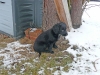dez08-jan09_10