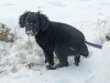 dez08-jan09_5
