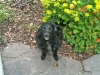 nina-und-klecks-001