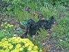 nina-und-klecks-003