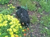 nina-und-klecks-004