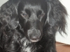 nna-novermber-2008-8