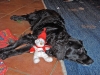 weihnachten-2007_0285