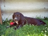 bild022_neg-nr_-22a-jpg