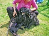 kuschelhunde