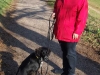 otto_ein_traumhund