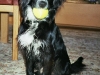otto_sept_08