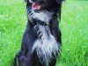 otto_sept_08_2