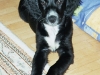 otto_waechst