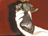 baby_bauch