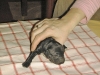 baby_festhalten