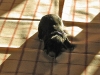 baby_lila