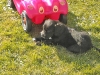 baby_mit_auto