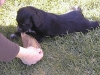 baby_mit_ohr